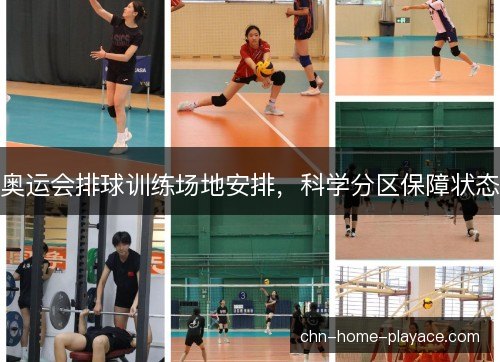 奥运会排球训练场地安排，科学分区保障状态